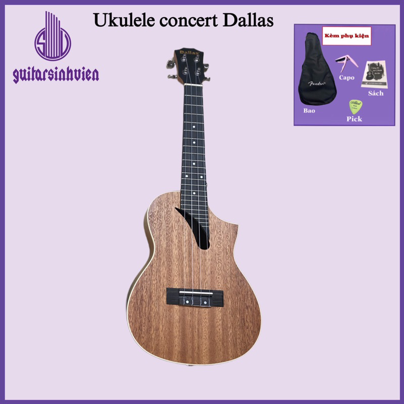 Đàn ukulele gỗ mahogany size concert, tenor - Kèm 4 phụ kiện bao dù, tài liệu, pick, sticker