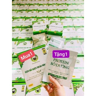 Sâm bổ kiện thảo mộc nam hàng chính hãng