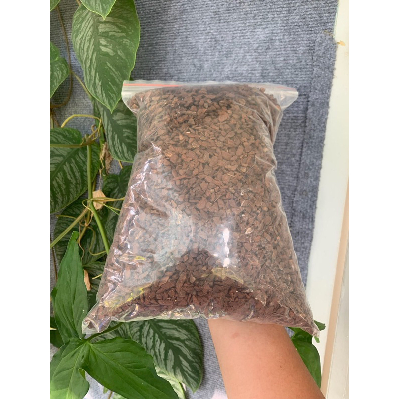 Vỏ thông Vụn trồng lan, lót chuồng bò sát không tạp chất | GINA GARDEN