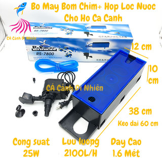 Máy lọc nước hồ cá RS 9800 (Đen)