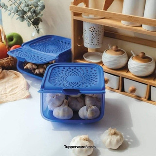 Dụng cụ trữ hành tỏi ❤️ Freeship Extra ❤️Tupperware