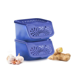 Dụng cụ trữ hành tỏi ❤️ Freeship Extra ❤️Tupperware