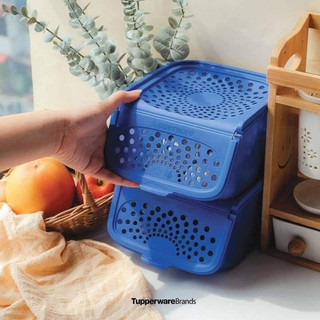 Dụng cụ trữ hành tỏi ❤️ Freeship Extra ❤️Tupperware