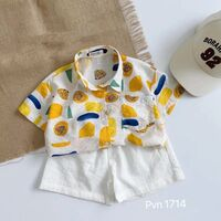 Bộ đủi sơ mi hình họa tiết dành cho bé trai, bé gái đu lịch đi biển, đi chơi đều đẹp
