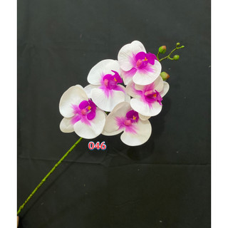 Cành hoa lan hồ điệp cao su 5 bông