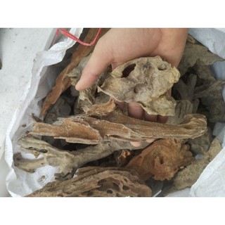 lũa săn đá 500g