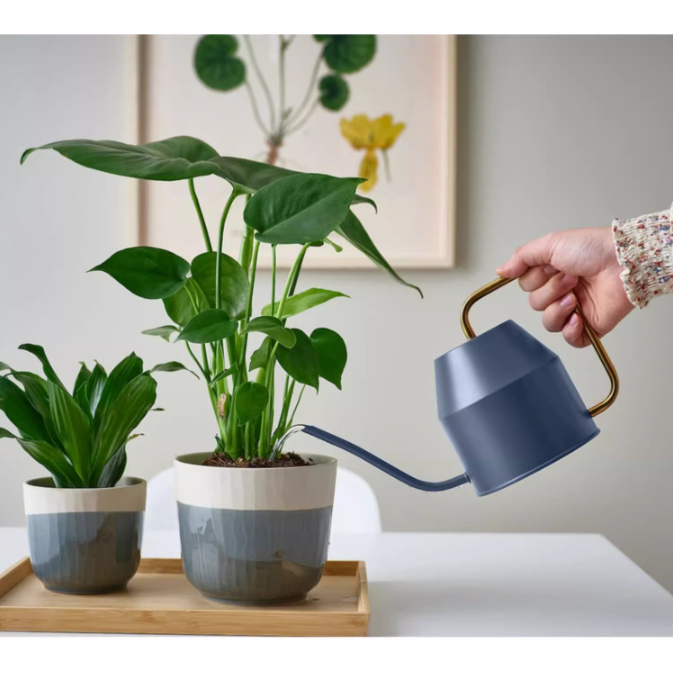 Bình tưới cây trang trí chất liệu thép, Bình tưới cây vòi dài dung tích 0.9L