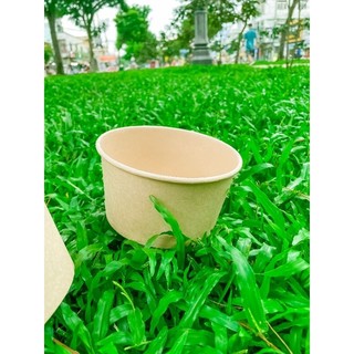 Tô giấy kraf dầy 1pe 750ml, 1000ml