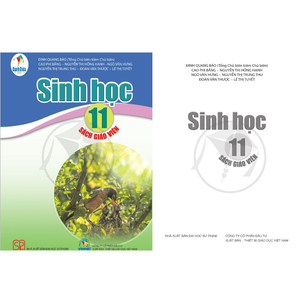 SGV Sinh Học Lớp 11- Bộ Cánh Diều