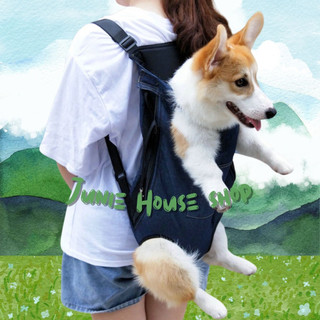 Balo địu chó lớn du lịch vận chuyển tiện lợi Corgi Bull Shiba
