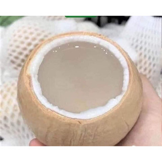 (Hà Nội-Ship Hoả Tốc) Dừa Xiêm Trọc bến tre xịn