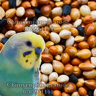 500g hạt hỗn hợp cho chim Yến Phụng, Vẹt HongKong..