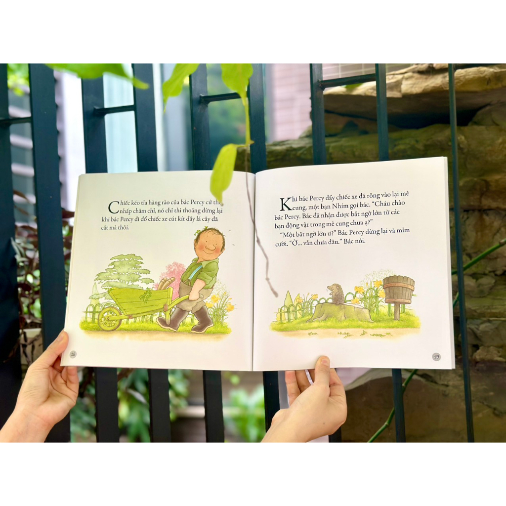 Sách Đinh Tị - Combo 4 tập Gieo mầm yêu thương dành cho bé 3 - 9 tuổi (4 Cuốn)