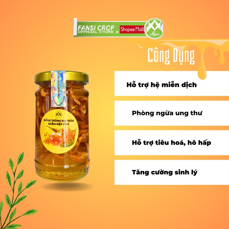 Đông Trùng Hạ Thảo ngâm mật ong - 100ml