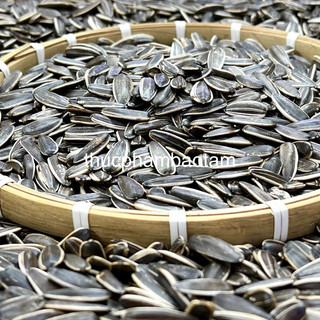 (Kho Sỉ) Hạt Hướng Dương - Hàng Loại 1