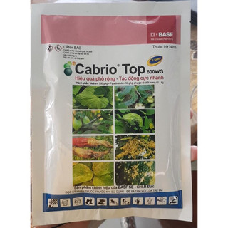 Thuốc trừ nấm bệnh trên cây trồng cabrio top 600WG