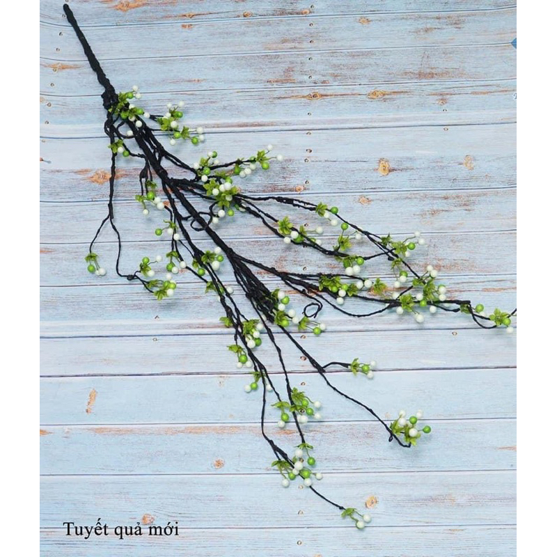 cành tuyết quả, cherry cổ trang trí bình hoa