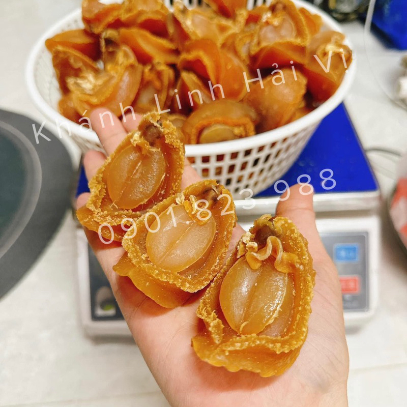 Bào ngư khô size lớn - biếu tặng làm quà xịn sò