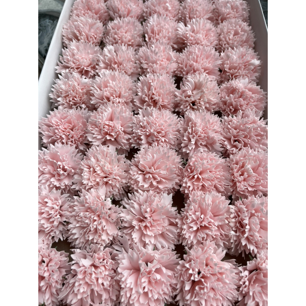 Đầu Bông Cẩm Chướng Xù