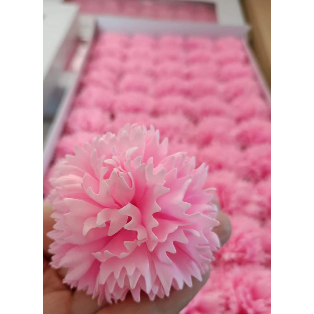 Đầu Bông Cẩm Chướng Xù
