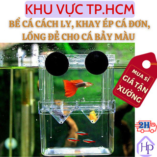Bể cá cách ly cho cá 7 màu đẻ, khay ép cá, lòng đơn cho cá bảy màu đẻ chất liệu mica, dưỡng cá bệnh