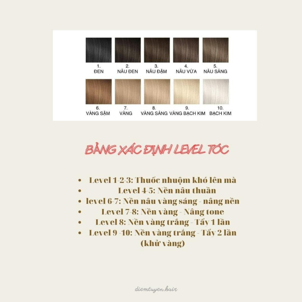 Thuốc Nhuộm Màu PHÚC BỒN TỬ, Không Tẩy | diemtuyen.hair