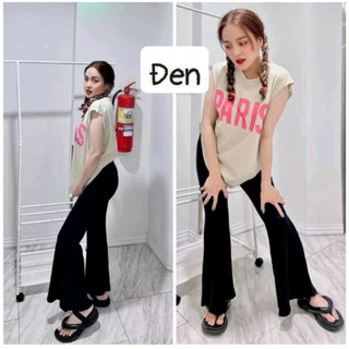 Quần thun thái ống loe Rainbow FREESIZE (cotton/rayon)