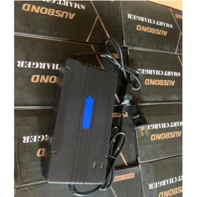 Sạc xe đạp điện 36V-12Ah chống phồng bình