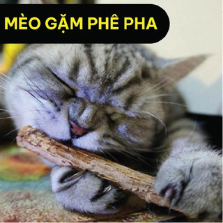 Gói 5 que catnip Hahale mèo gặm thư giãn