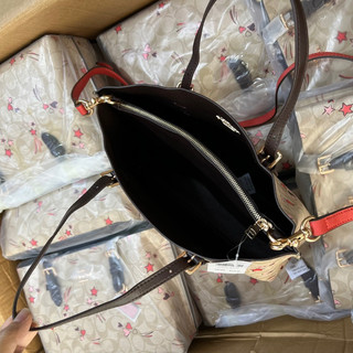 Túi Coach mollie tote size 25