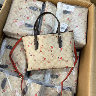 Túi Coach mollie tote size 25