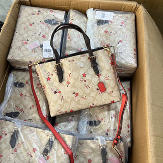 Túi Coach mollie tote size 25