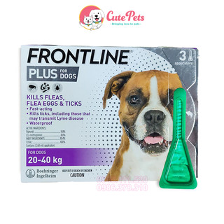 Nhỏ gáy trị ve rận Frontline Plus cho chó mèo [1 Tuýp] - Phụ kiện thú cưng Hà Nội