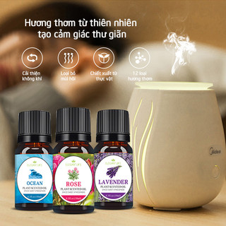 Tinh dầu thơm phòng thiên nhiên 12 mùi hương để lựa chọn DN093