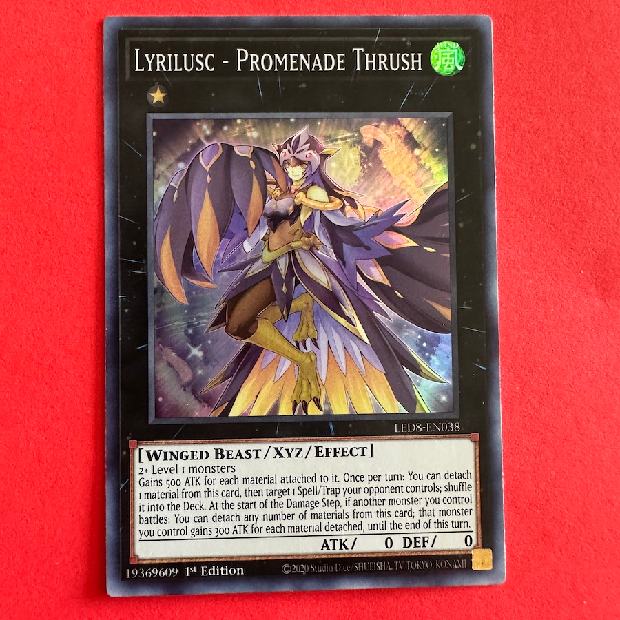 Lyrilusc Promenade Thrush