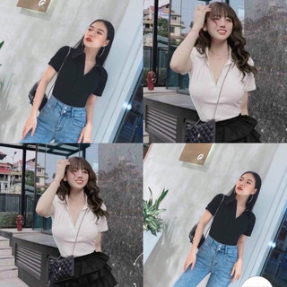 Áo thun ôm cổ bẻ