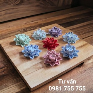 Hoa sen sứ_ hoa thả bát sen minh đường tụ thủy