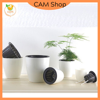 Chậu trồng cây thông minh tự dưỡng tự tưới nước, chậu trồng cây thuỷ canh thuỷ sinh nhiều kích thước