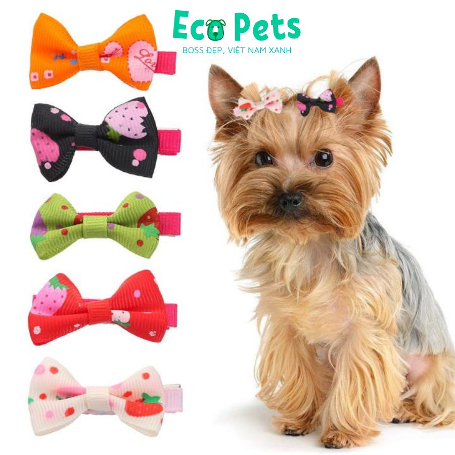 Phụ kiện thời trang cho chó mèo bông nơ đeo cho chó mèo cosplay chụp ảnh siêu dễ thương ECOPETS