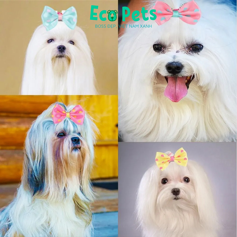Phụ kiện thời trang cho chó mèo bông nơ đeo cho chó mèo cosplay chụp ảnh siêu dễ thương ECOPETS
