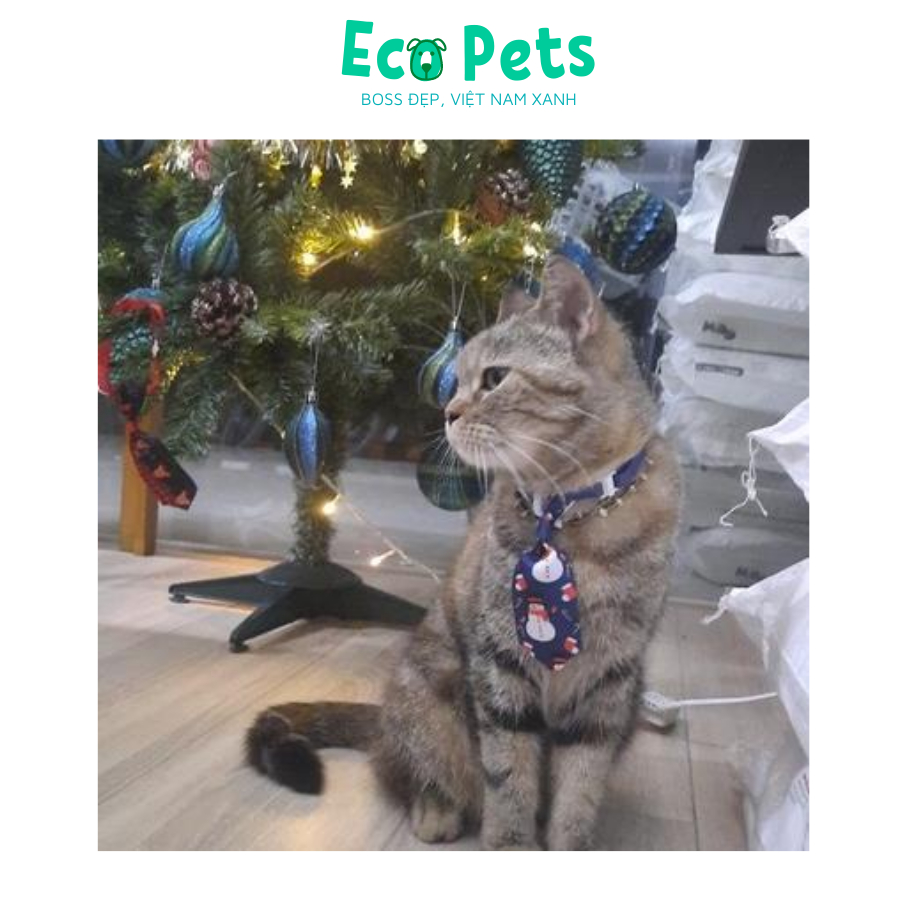 Vòng cổ cho mèo ECOPETS dạng cà vạt cho chó mèo phụ kiện chó mèo chụp hình noel tiktok xinh đẹp
