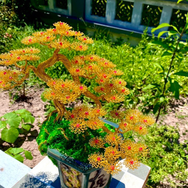 25Gr 50gr 10gr hạt cườm 6mm đủ màu sắc trang trí gắn hoa bonsai , Bonsai Handmade 17, Bonsai mini để bàn,bonsai