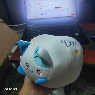 Gấu bông Mèo