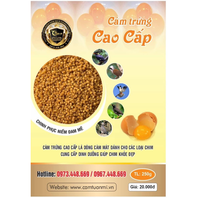 CÁM TRỨNG TUẤN MI