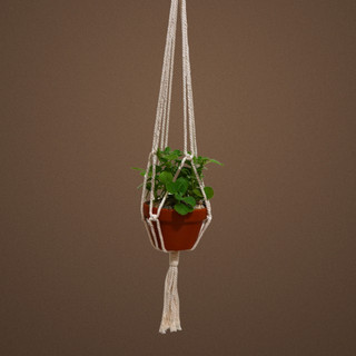 Dây treo chậu cây trang trí Macrame, decor, diy
