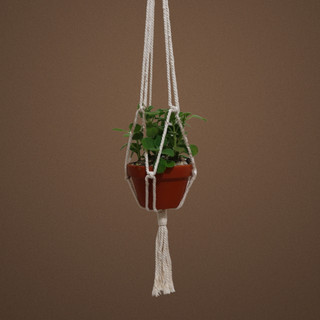 Dây treo chậu cây trang trí Macrame, decor, diy