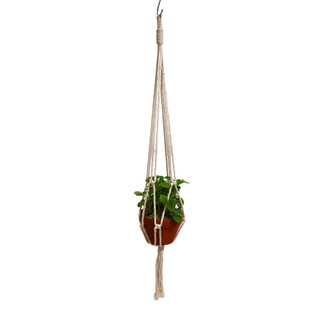 Dây treo chậu cây trang trí Macrame, decor, diy