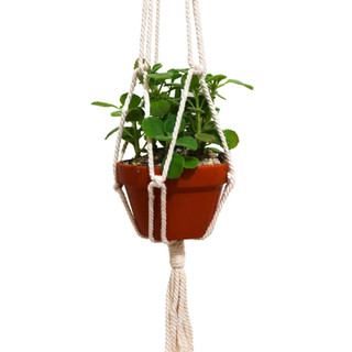 Dây treo chậu cây trang trí Macrame, decor, diy