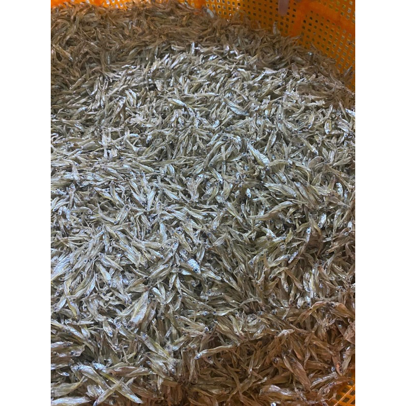 Cá cơm khô Sê San