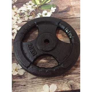 Tạ bánh 20kg lỗ nhỏ phi 27 gang đúc